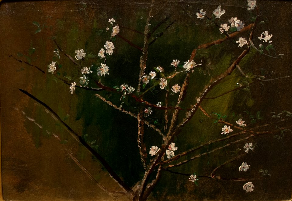 Blossoming - painting by László Mednyánszky