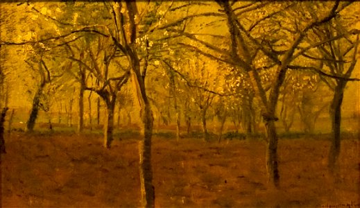 Blossoming Apple Trees