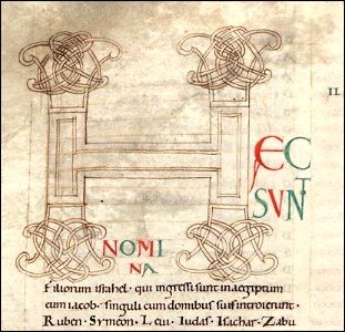 BM330636101 0001 1 022V D