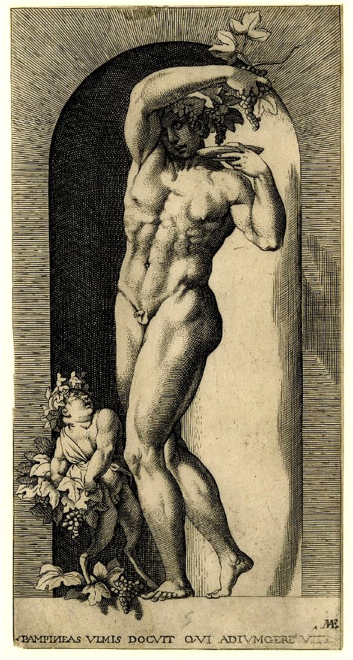 BM caraglio