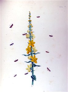 BMAT.II-121