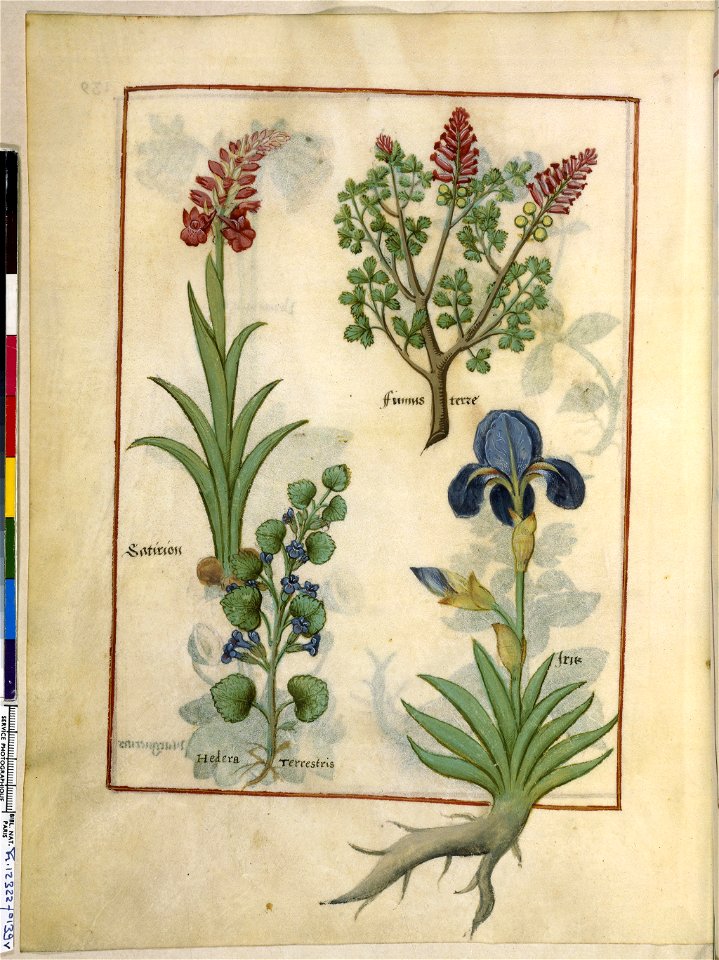 BnF Français 12322, f.139v