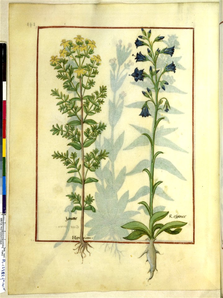 BnF Français 12322, f.141v