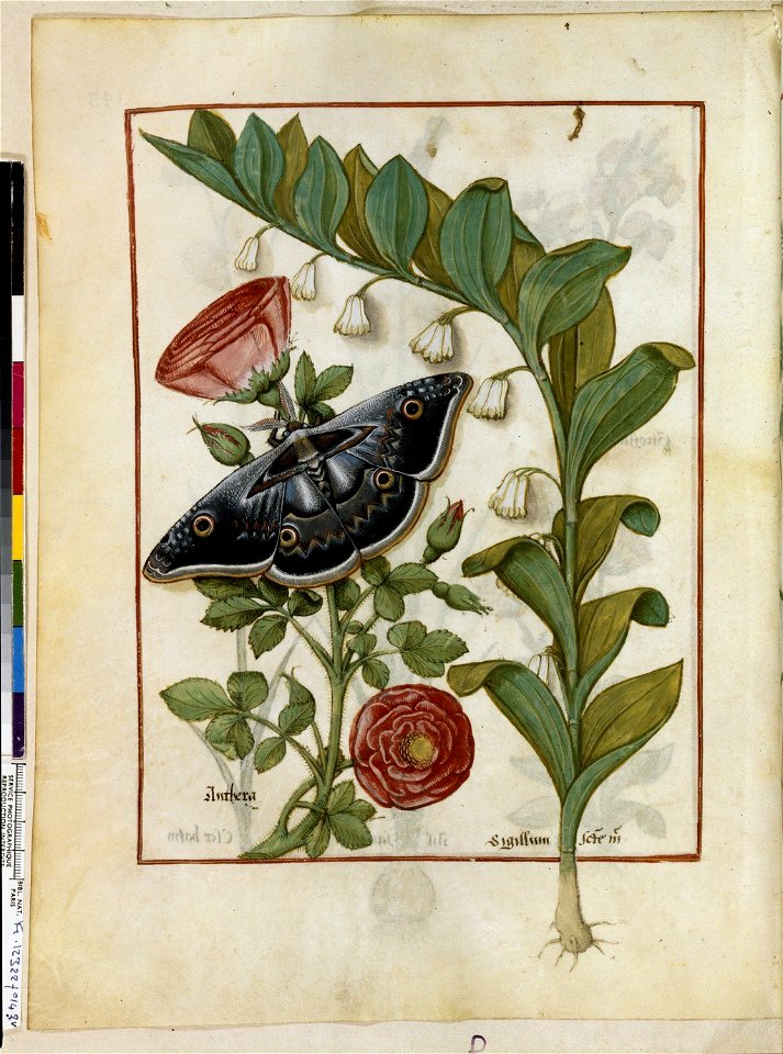 BnF Français 12322, f.143v