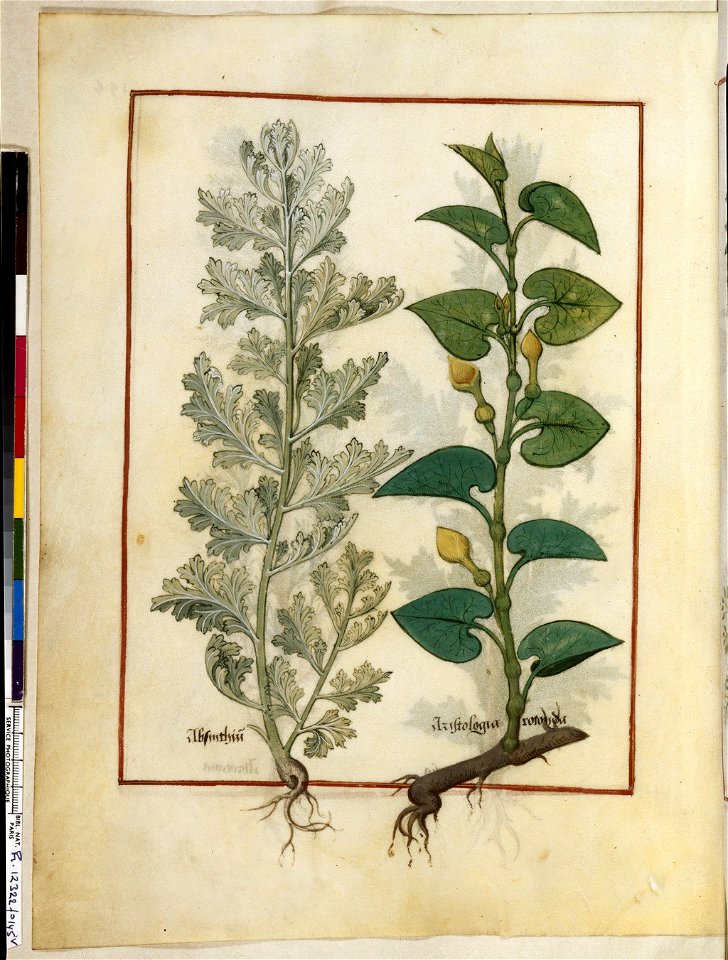 BnF Français 12322, f.145v