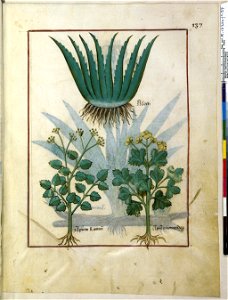 BnF Français 12322, f.137r