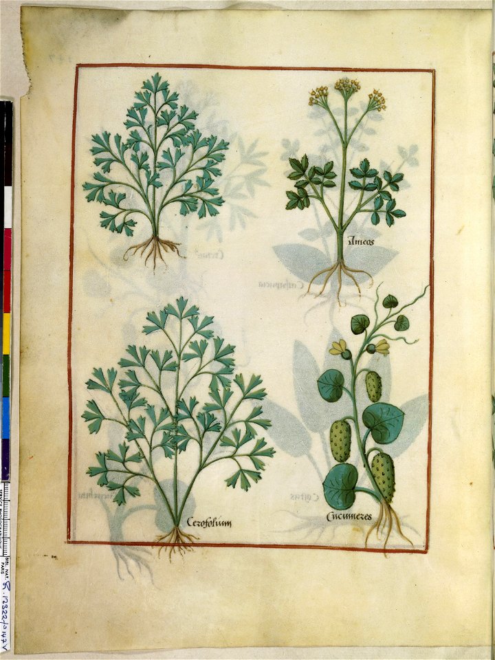 BnF Français 12322, f.147v