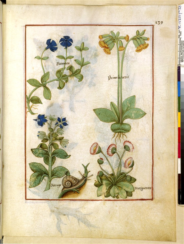 BnF Français 12322, f.139r