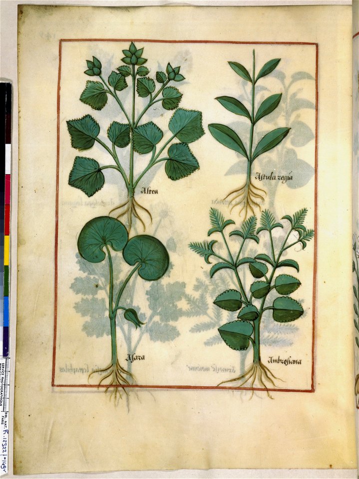 BnF Français 12322, f.149v