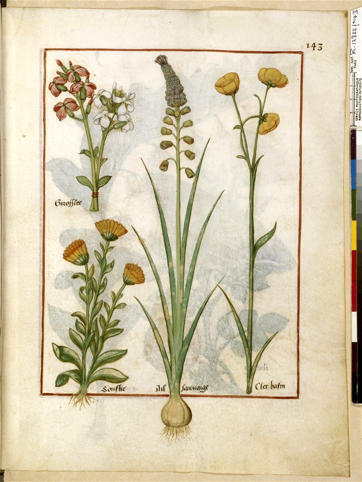 BnF Français 12322, f.143r