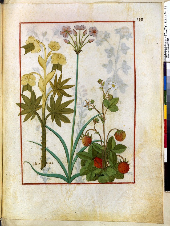 BnF Français 12322, f.153r