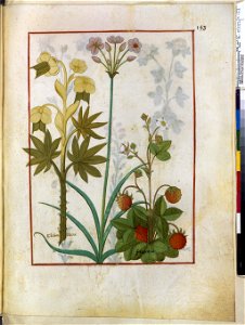 BnF Français 12322, f.153r