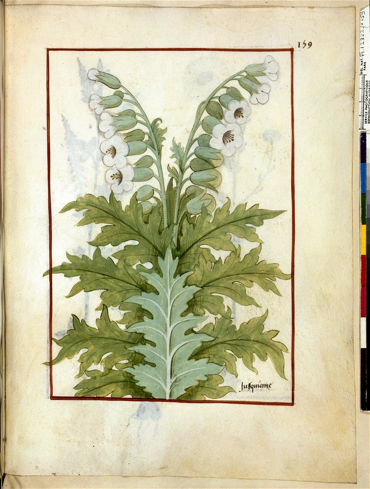BnF Français 12322, f.159r
