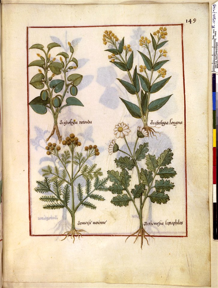 BnF Français 12322, f.149r
