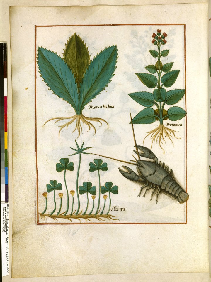 BnF Français 12322, f.163v