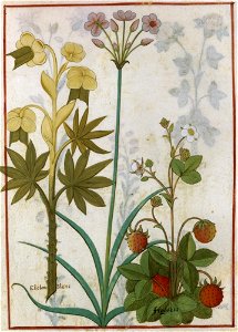BnF Français 12322, f.153r (cropped)