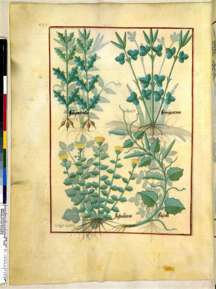 BnF Français 12322, f.157v
