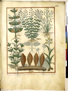 BnF Français 12322, f.172r
