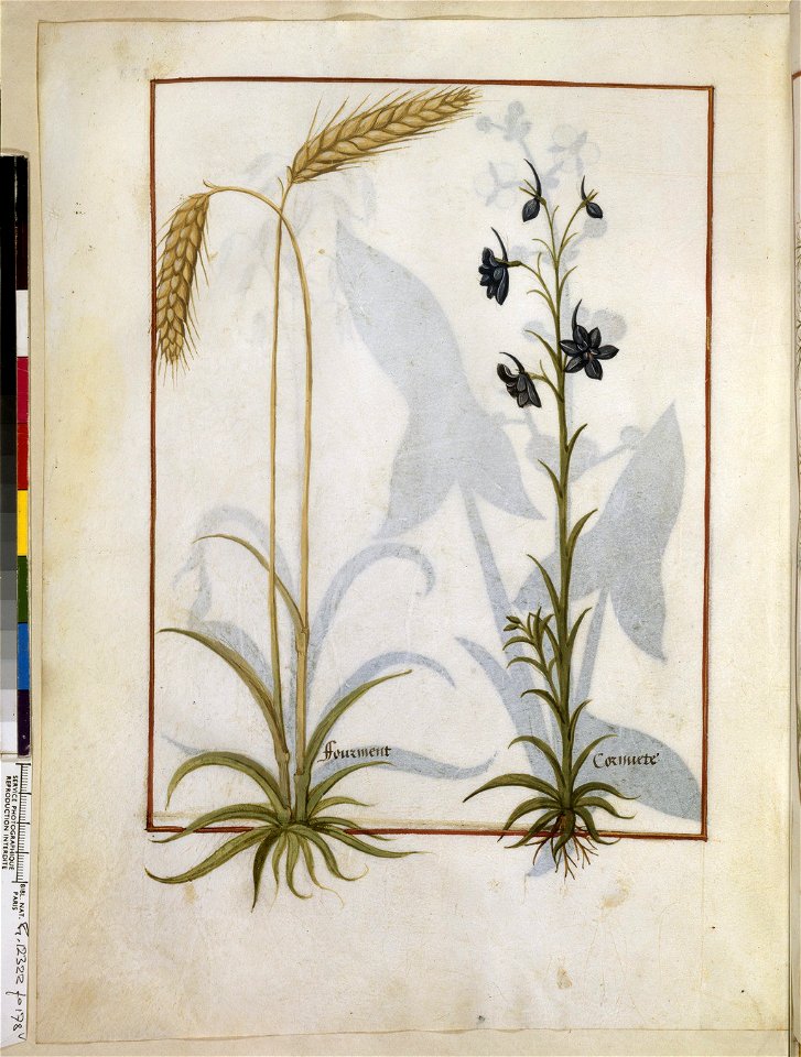 BnF Français 12322, f.178v