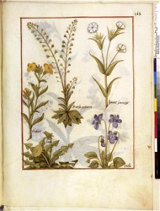 BnF Français 12322, f.165r