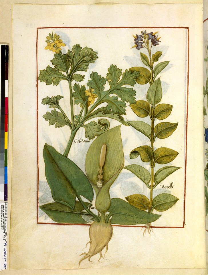 BnF Français 12322, f.138v