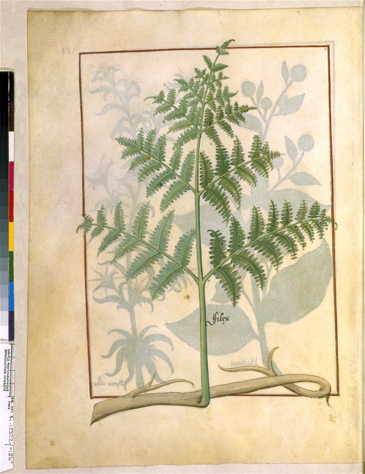 BnF Français 12322, f.184v