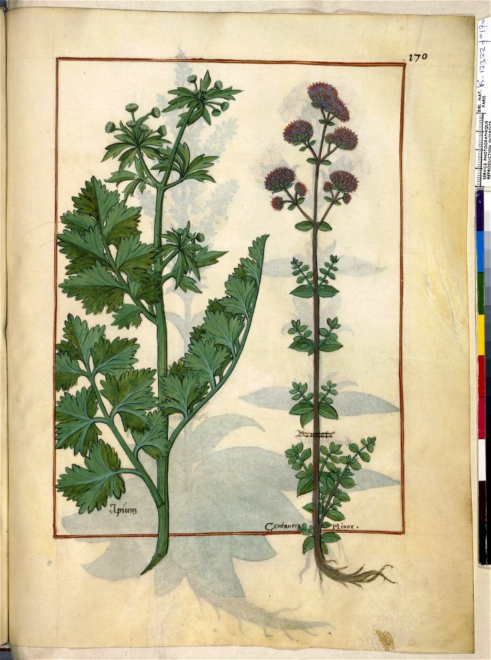 BnF Français 12322, f.170r