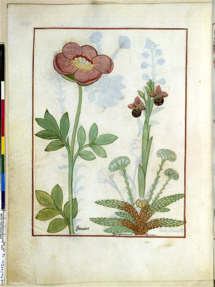 BnF Français 12322, f.142v