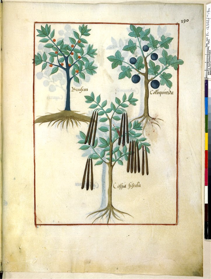 BnF Français 12322, f.190r