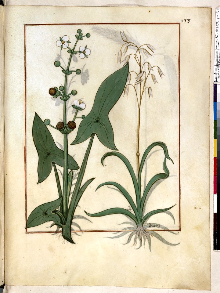 BnF Français 12322, f.178r