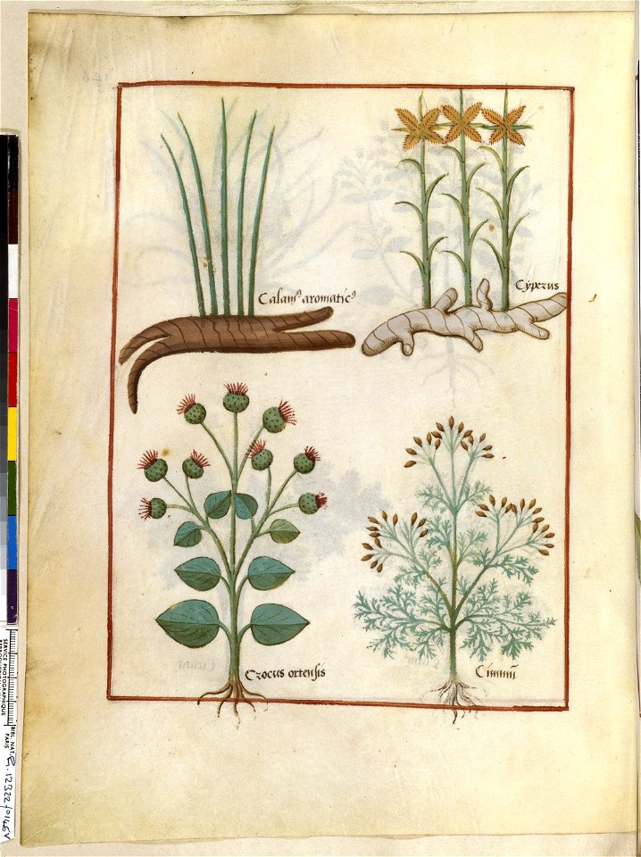 BnF Français 12322, f.146v