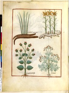 BnF Français 12322, f.146v