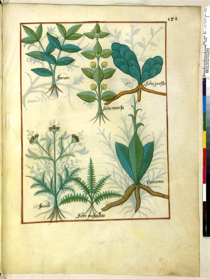 BnF Français 12322, f.182r