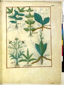 BnF Français 12322, f.182r