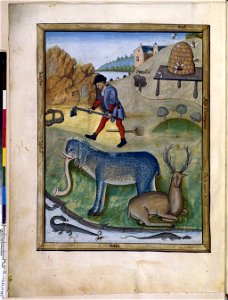 BnF Français 12322, f.193v