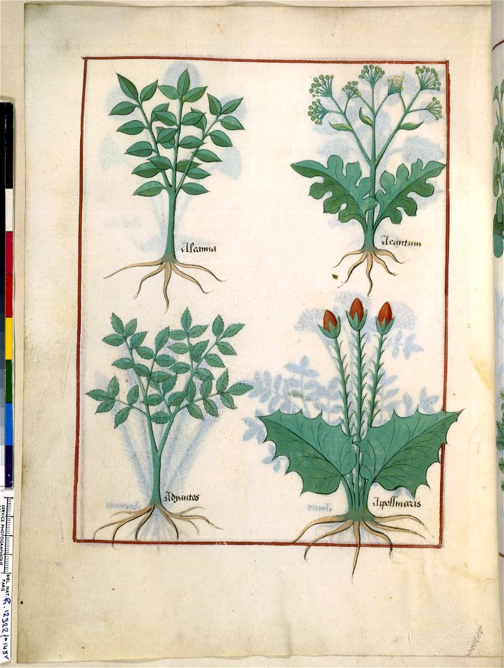 BnF Français 12322, f.148v