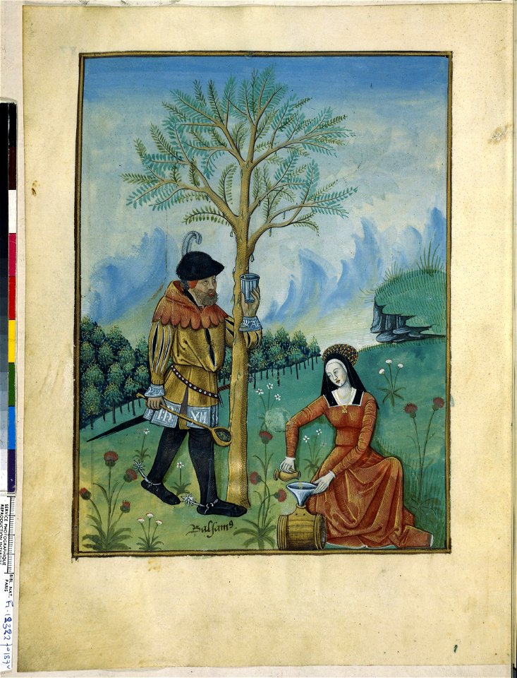 BnF Français 12322, f.187v