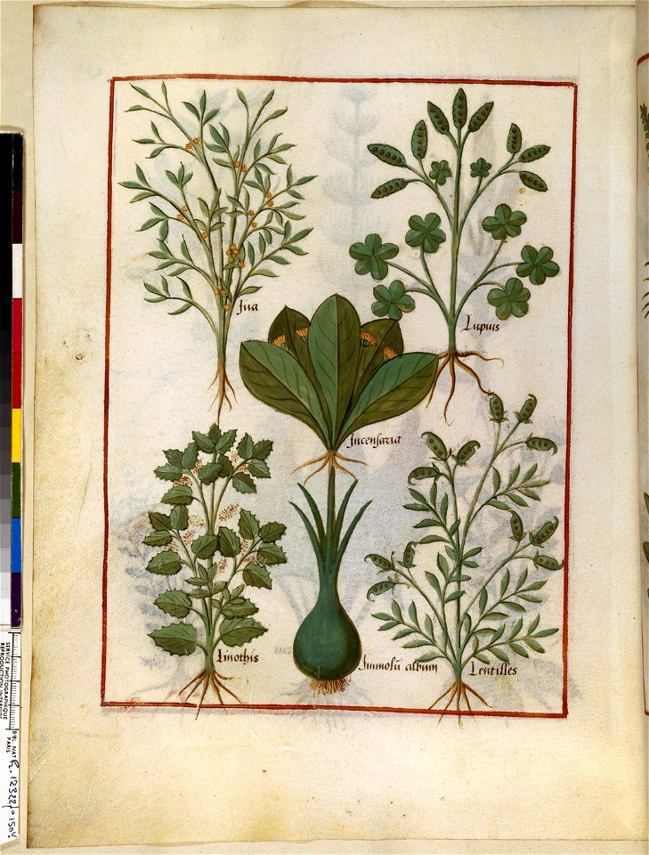 BnF Français 12322, f.150v