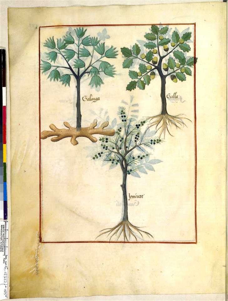 BnF Français 12322, f.189v