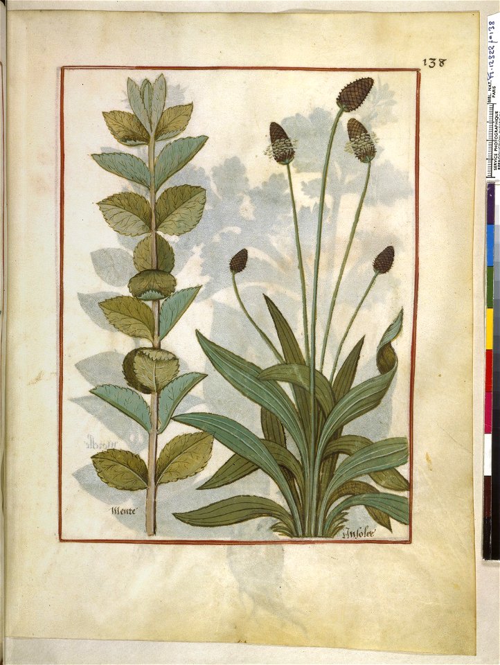 BnF Français 12322, f.138r