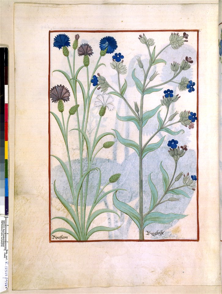 BnF Français 12322, f.154v