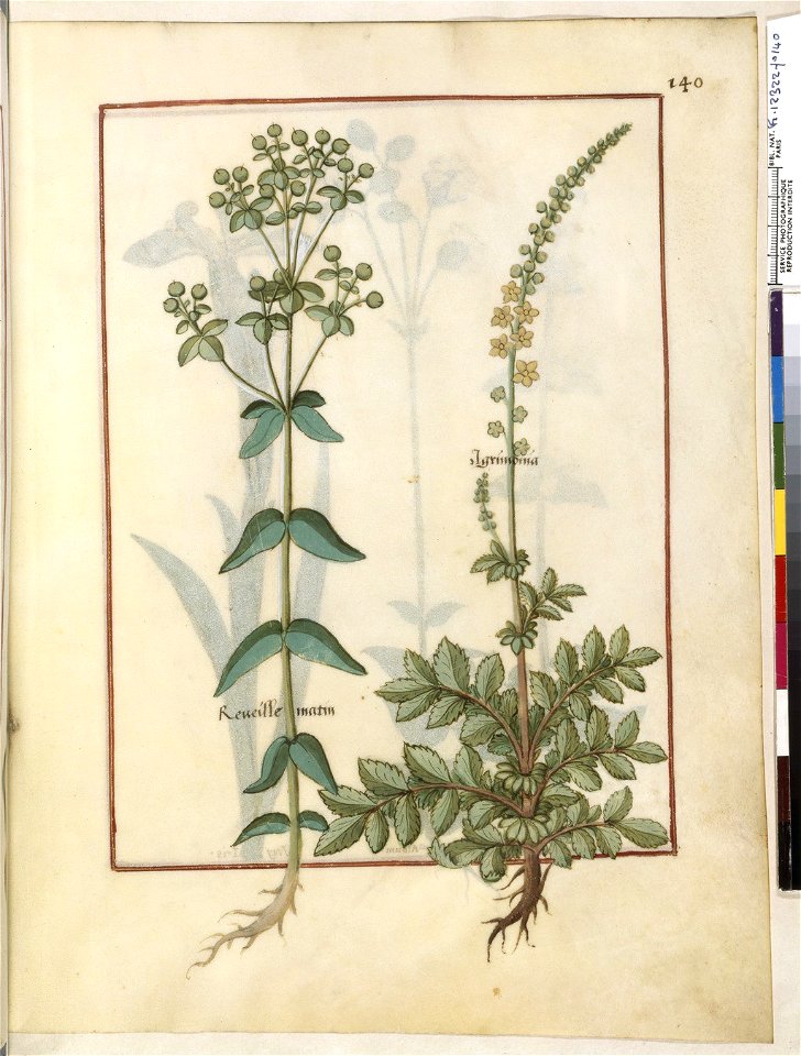 BnF Français 12322, f.140r
