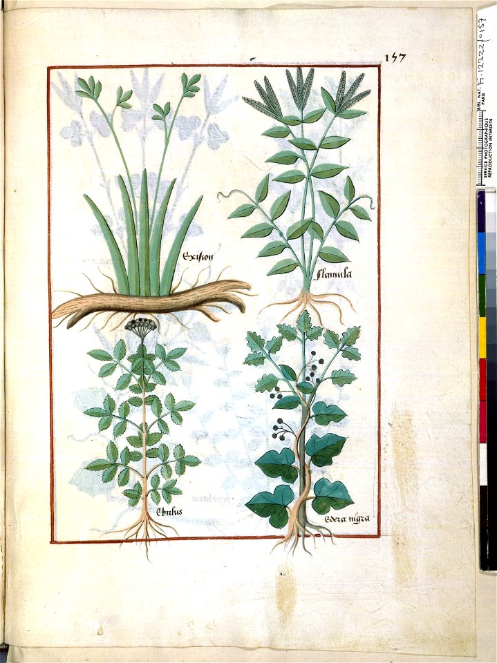 BnF Français 12322, f.157r