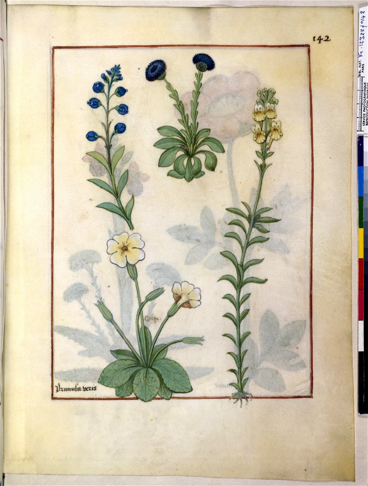 BnF Français 12322, f.142r