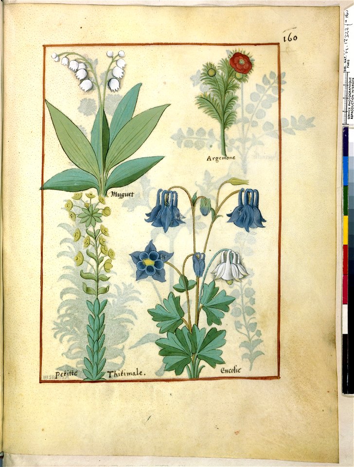 BnF Français 12322, f.160r