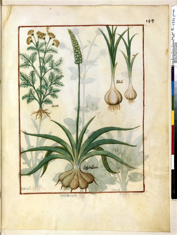 BnF Français 12322, f.144r