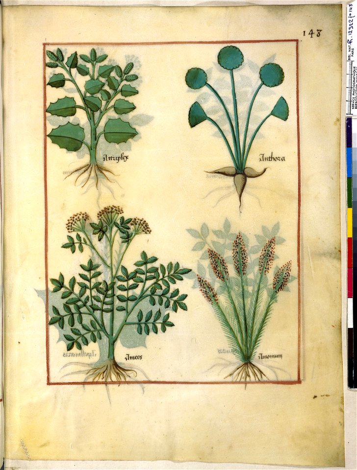 BnF Français 12322, f.148r
