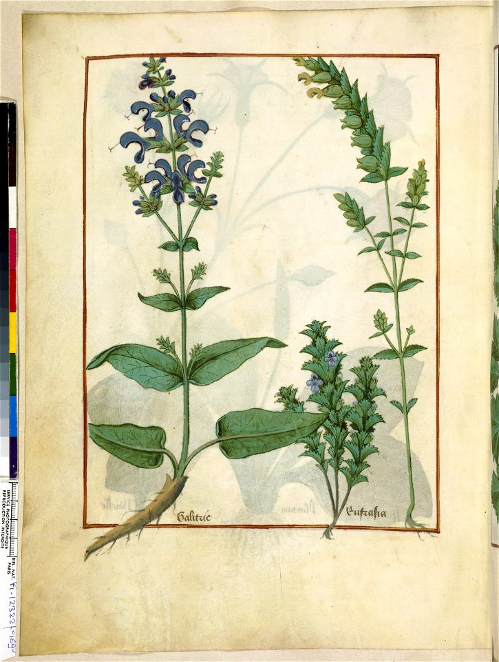 BnF Français 12322, f.169v