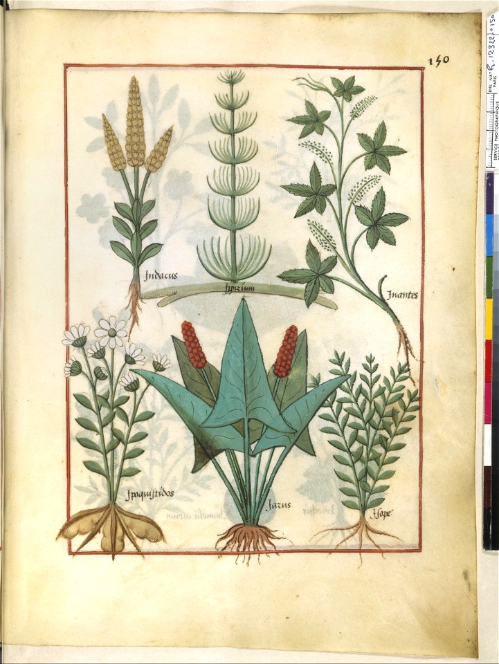 BnF Français 12322, f.150r