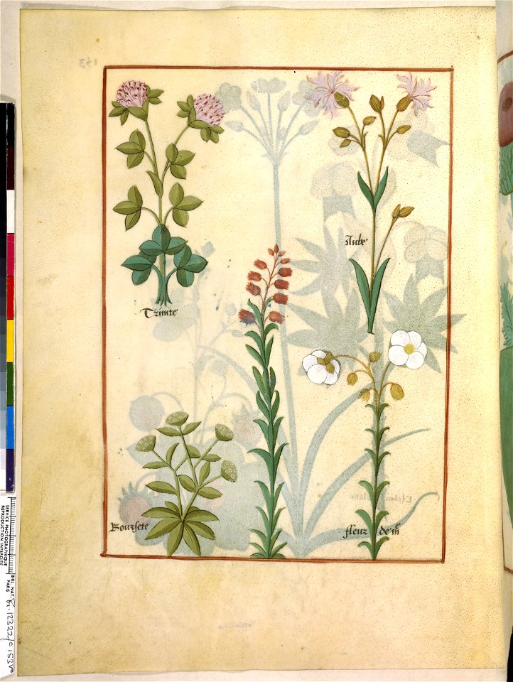BnF Français 12322, f.153v